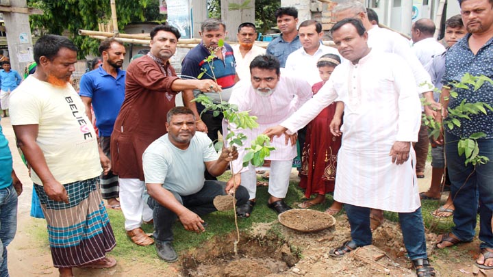 পৌর শহরের শোভা বর্ধনে ফুলবাড়ীতে বৃক্ষ রোপন কর্মসূচি উদ্বোধন